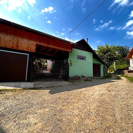 Willa Casa Camelia Nehoiu Zewnętrze zdjęcie