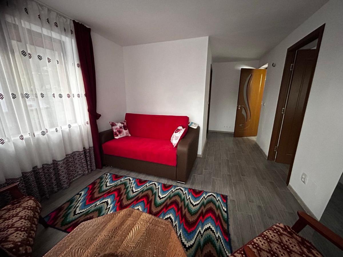 Willa Casa Camelia Nehoiu Zewnętrze zdjęcie