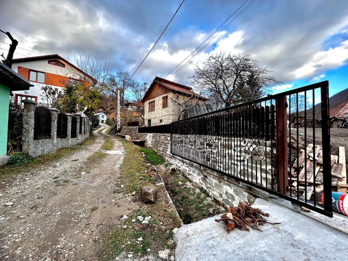Willa Casa Camelia Nehoiu Zewnętrze zdjęcie