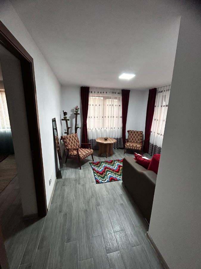 Willa Casa Camelia Nehoiu Zewnętrze zdjęcie