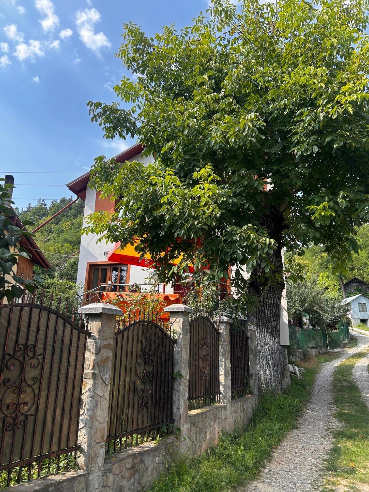 Willa Casa Camelia Nehoiu Zewnętrze zdjęcie